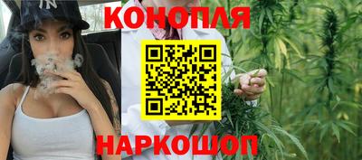 шишки Гудермес