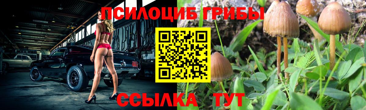 Галлюциногенные грибы Magic Shrooms Заволжье